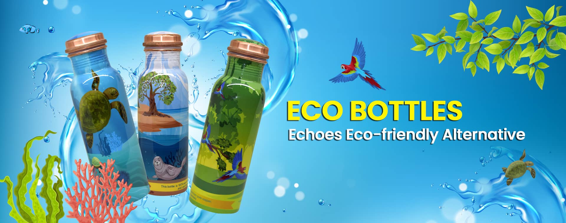Eco Bottles Echoes Eco-friendly Alternative